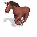 moving-picture-horse-galloping-animated-gif.gif